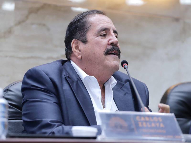 Carlos Zelaya, diputado del Partido Libre y secretario de la Junta Directiva del Congreso Nacional de Honduras.