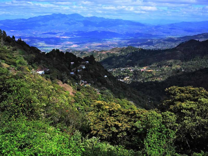 El plan del Corredor incluye el plan estratégico, estudios biológicos, valoración económica de servicios ecosistémicos y la hoja de ruta para el reconocimiento del CBS.