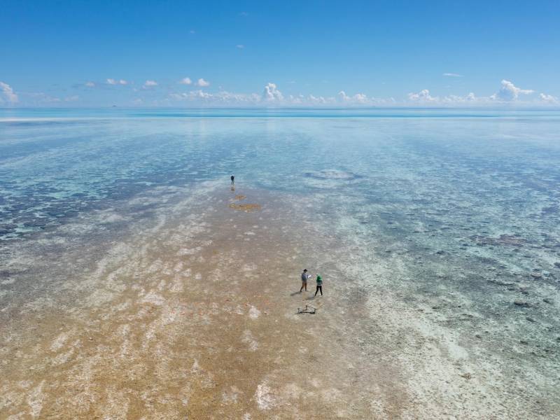 “(Los atolones) ocupan un lugar destacado entre los objetos maravillosos de este mundo”, Charles Darwin.