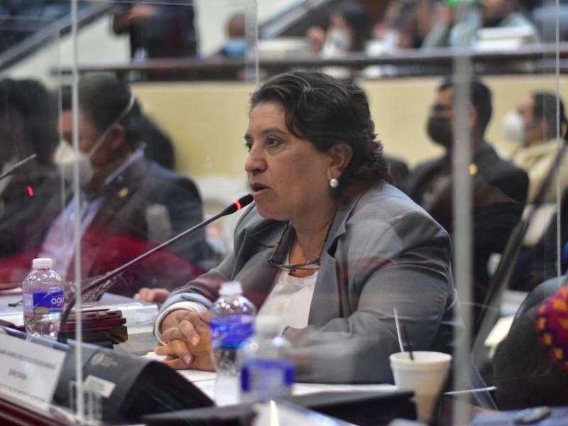 La diputada Suyapa Figueroa, del Partido Salvador de Honduras (PSH).