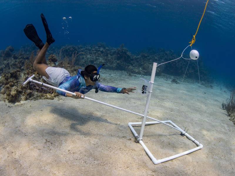 La bióloga marina Gabriela Ochoa impulsa una labor de conservación que nace en el campo, se valida en el laboratorio y trasciende fronteras para inspirar al mundo.