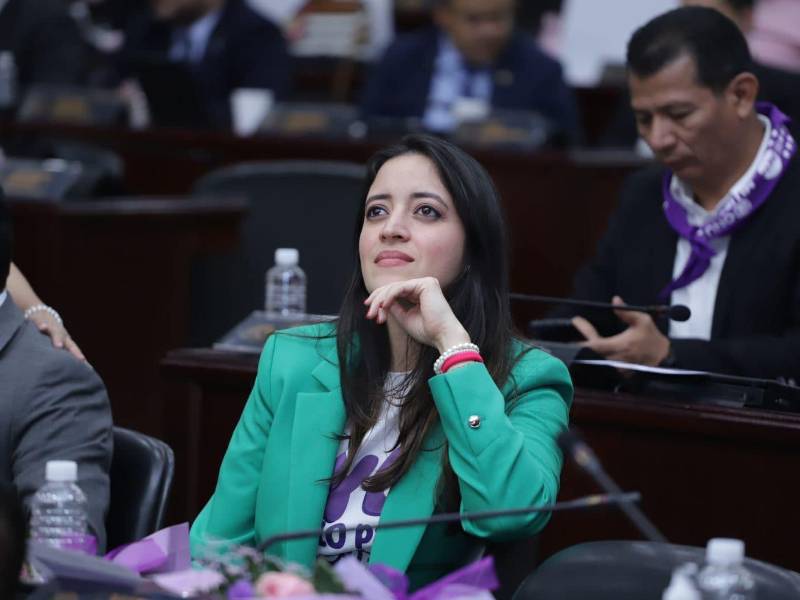 “La Pichu” Zelaya, hija de la presidenta Xiomara Castro, es diputada de Libre en el Congreso Nacional de Honduras.