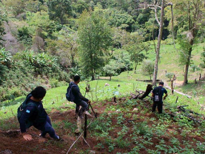 En los próximos años se espera poder aumentar la vigilancia progresivamente.