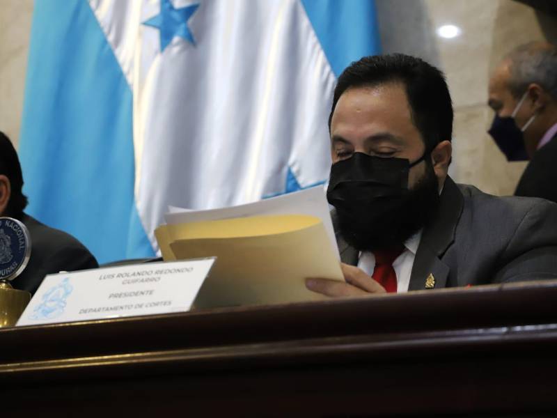 Luis Redondo, presidente del Congreso Nacional. Fotografía: AFP