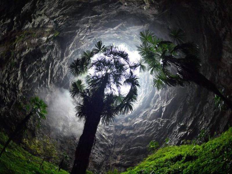 Un equipo de científicos chinos ha descubierto un nuevo sumidero gigante con un bosque en el fondo.