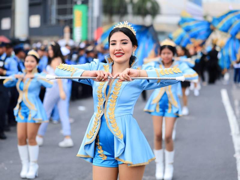 Cuadro de palillonas del JTR.