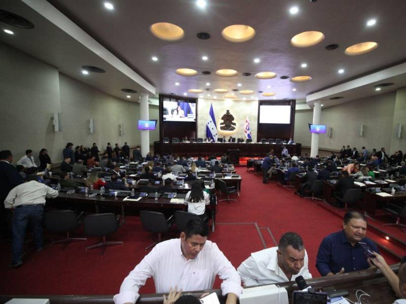 Sesión ordinaria en el Congreso Nacional.