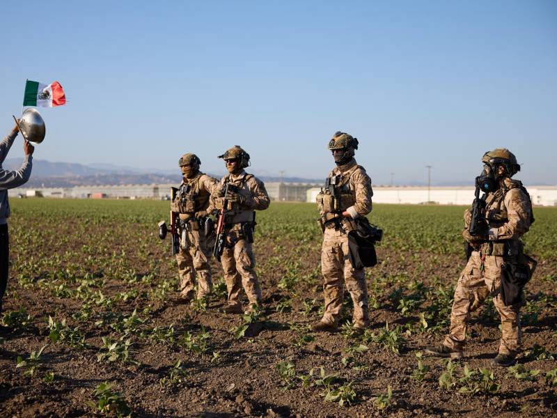 Agentes de la Guardia Nacional durante un operativo del ICE en una plantación de marihuana en California.