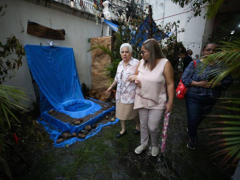 El lateral de la Catedral Metropolitana se transforma en un recorrido de fe y espiritualidad con ‘El Huerto de Getsemaní’.