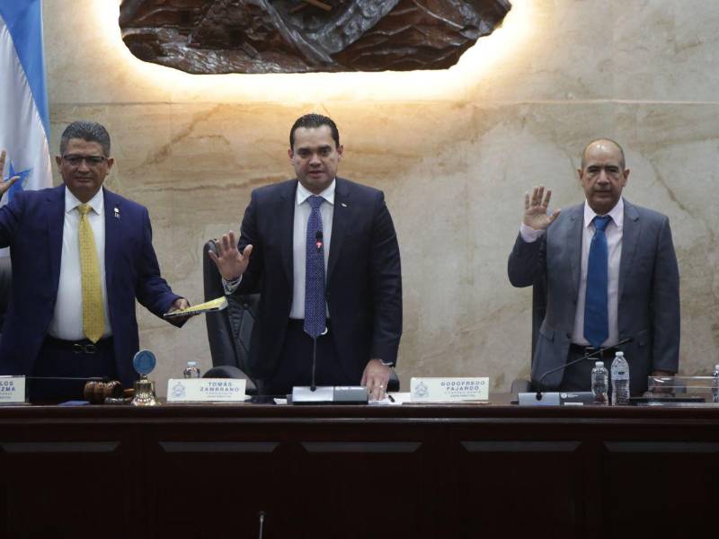 Zambrano durante la sesión plenaria en la que fue elegido como presidente provisional.