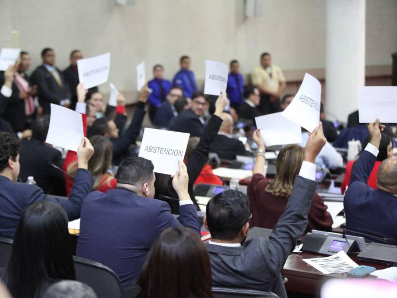 Diputados de Libertad y Refundación se abstuvieron de votar por el decreto de emergencia en el sector de salud pública.