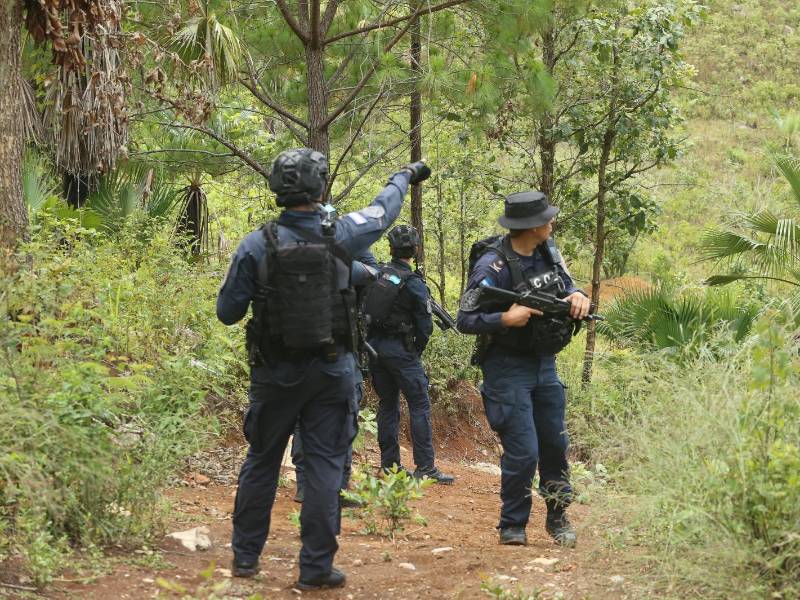 Agentes de la Policía Nacional participaron en el operativo desarrollado en una zona montañosa de Marale, Francisco Morazán.