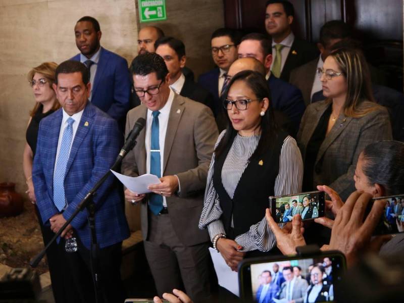 La Comisión Especial Legislativa encargada del proceso de selección de los aspirantes a consejeros del CNE y TJE.