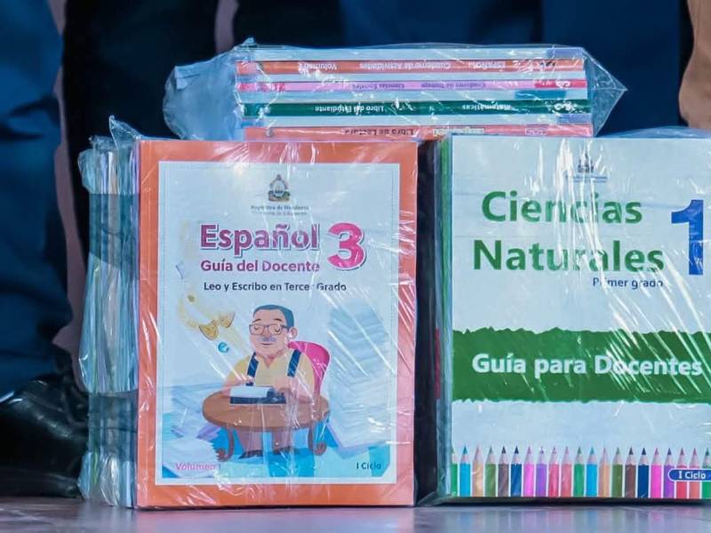 Gobierno anunció entrega progresiva de 10 millones de libros escolares.
