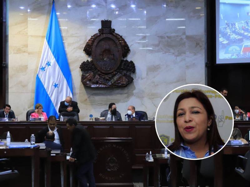 El recurso de inconstitucionalidad fue presentado en mayo por la presidenta del PAC, Marlene Alvarenga.