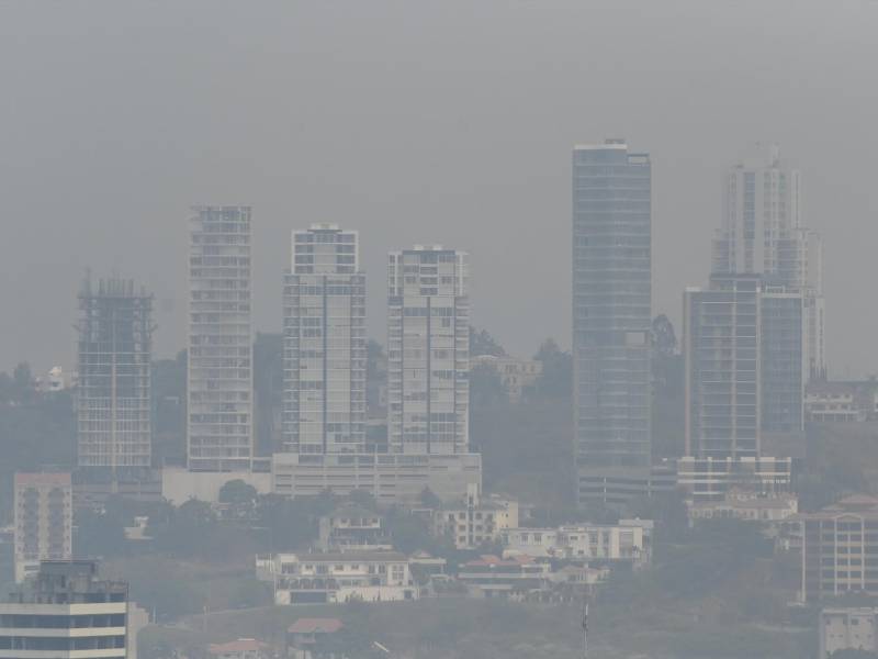 Las personas están padeciendo enfermedades respiratorias por densa capa de humo. (Photo by Orlando SIERRA / AFP)