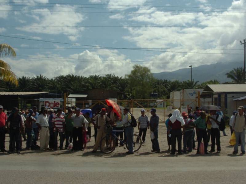 Los extrabajadores se apostaron frente a la empresa bananera.
