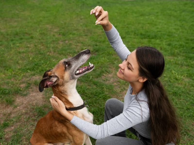Numerosos expertos han argumentado que no es tanto lo que se les dice sino cómo y cuándo se lo hace lo que los motivan y que reaccionan a sonidos particulares con un comportamiento aprendido.