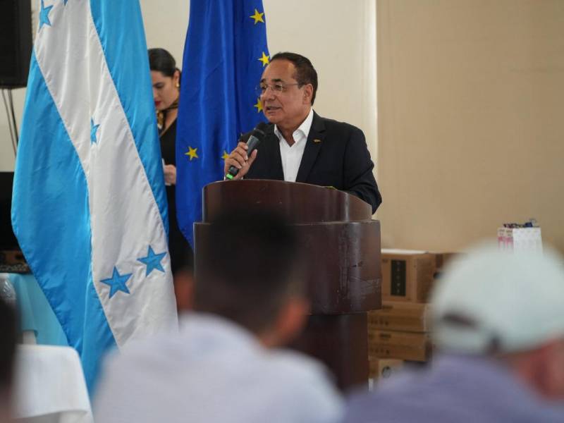 Nelson Licona, nuevo titular del comité ejecutivo del organismo.