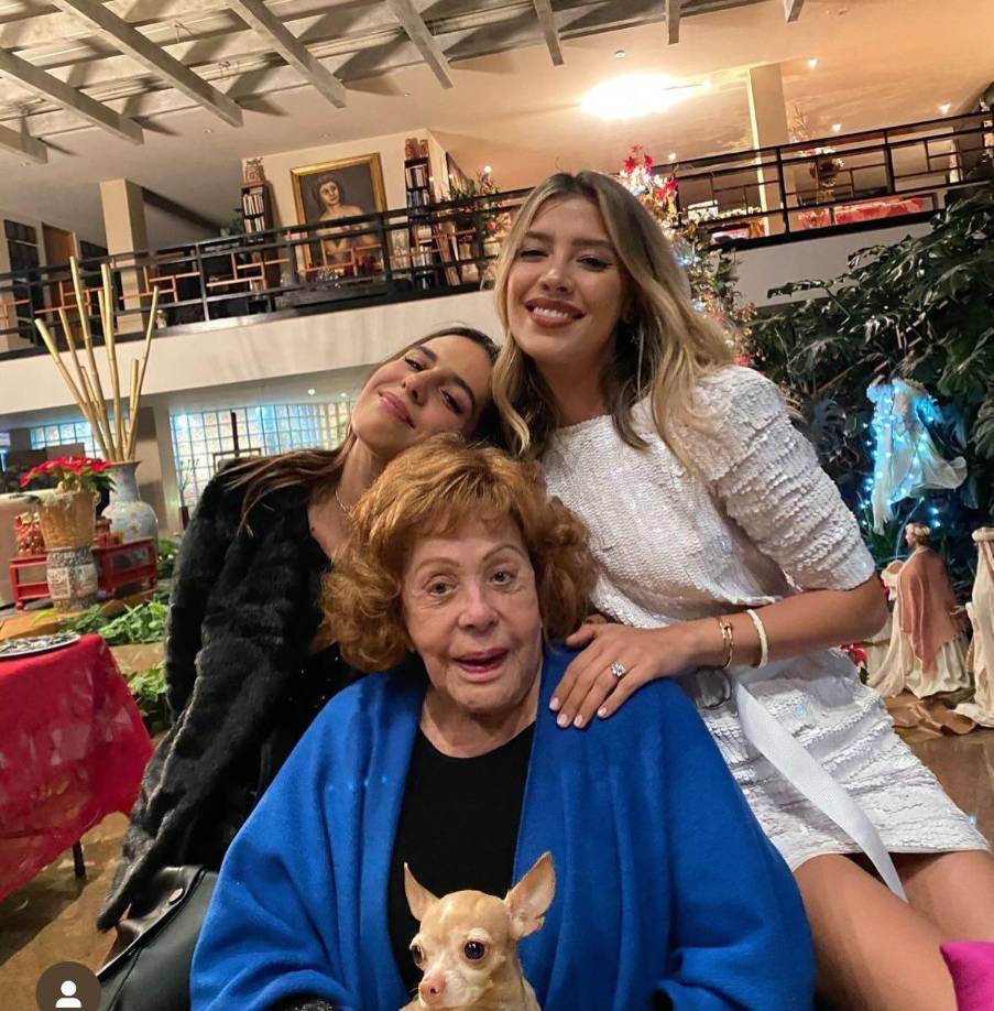 La herencia de Silvia Pinal abarcaría una serie de propiedades entra las que figuran su <b>casa del Pedregal en la Ciudad de México,</b> su casa de Acapulco, así como una extensa colección de arte que incluiría el cuadro que le pintó Diego Rivera, objetos personales y dinero.