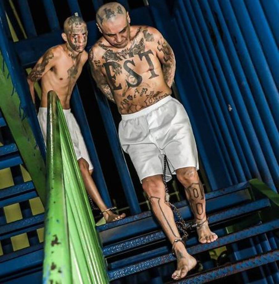 Las imágenes mostraron a los pandilleros con sus torsos desnudos, esposados de manos y pies, vistiendo apenas un pantaloncillo blanco y descalzos. 