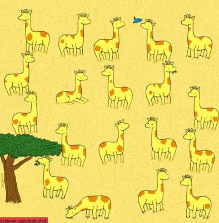 Esta es la imagen completa del reto viral de la actualidad. ¿Podrás detectar la jirafa que no tiene pareja en menos de 10 segundos?. Si no lo lograste, no te preocupes avanza a la última foto para descubrir el acertijo visual.