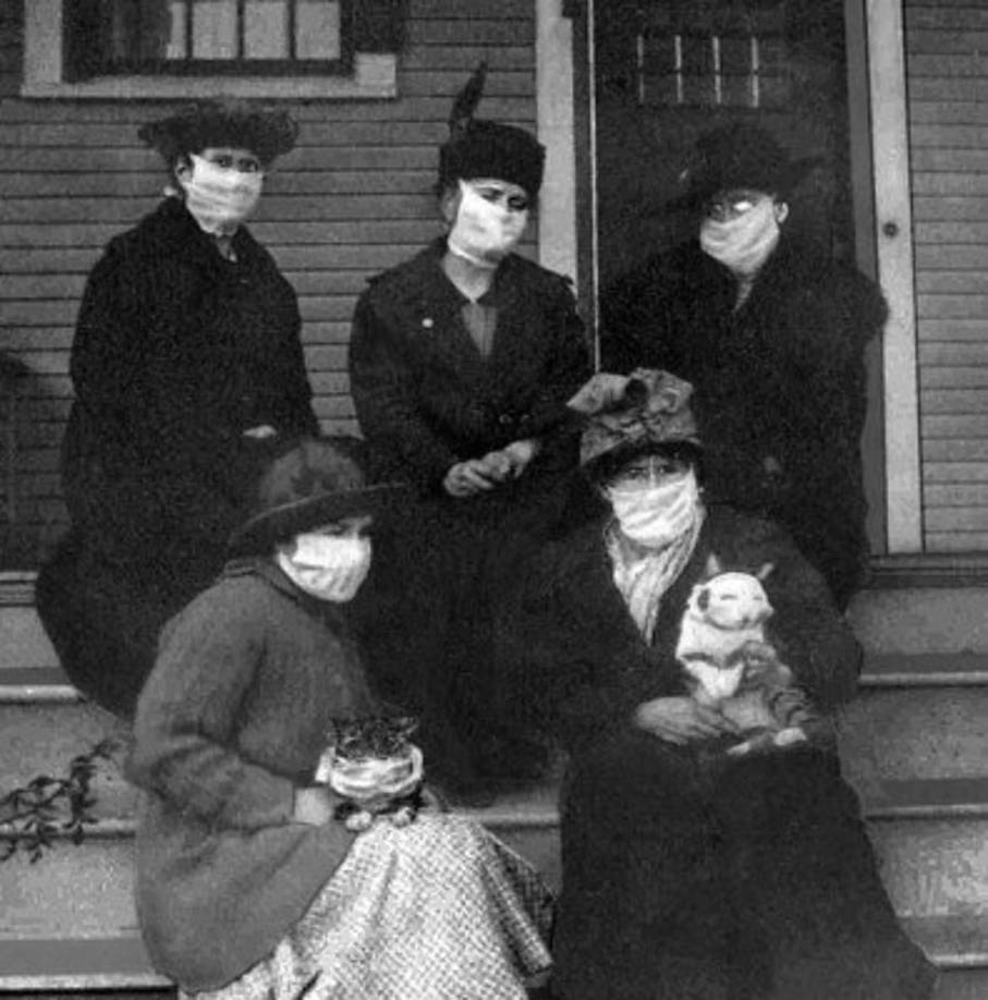 Los historiadores consideran que el hacinamiento masivo de soldados durante la Primera Guerra Mundial, especialmente en el transporte de tropas, fue un factor para que la epidemia se esparciera por todo el mundo matando a un tercio de la población mundial.