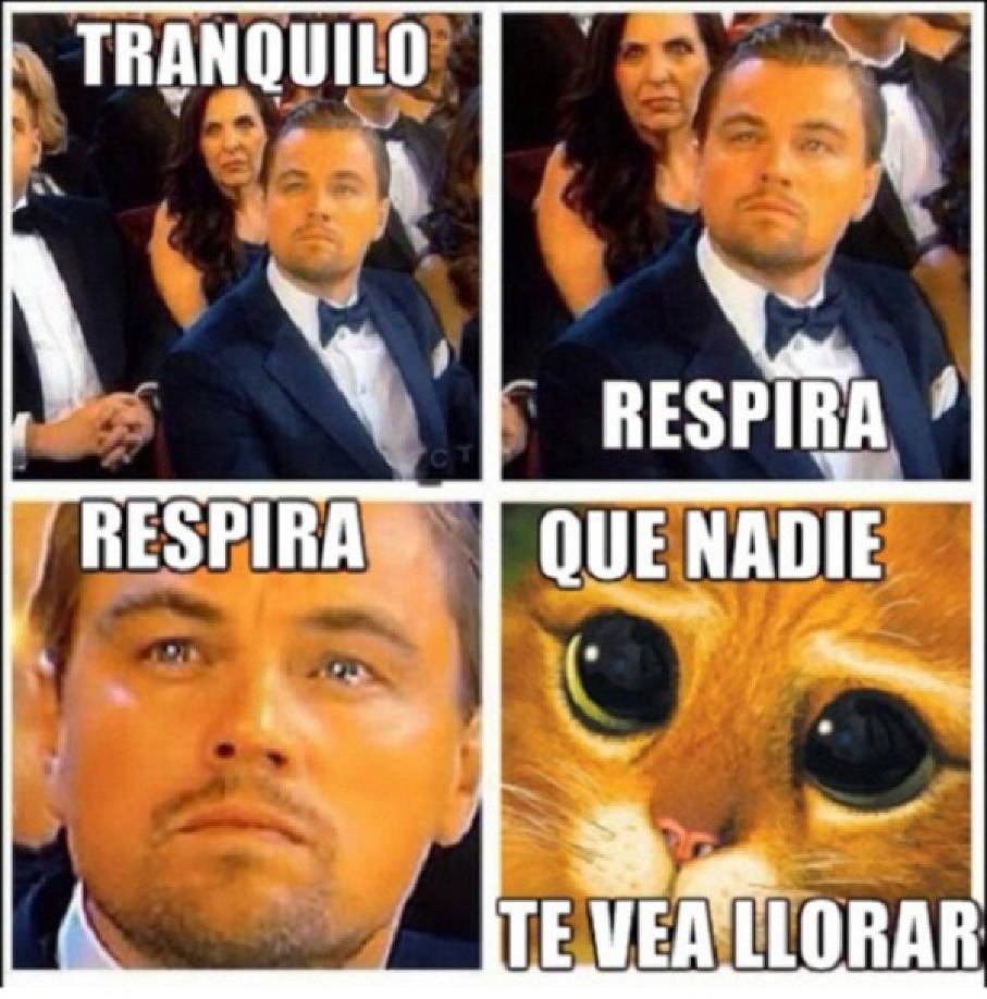 Leonardo DiCaprio sigue siendo una figura central en la cultura pop, no solo por sus actuaciones memorables, sino también por su capacidad de inspirar memes que resuenan con millones de personas en todo el mundo. Su impacto va más allá de la pantalla grande, consolidándose como un ícono tanto en el cine como en el vasto universo de internet.
