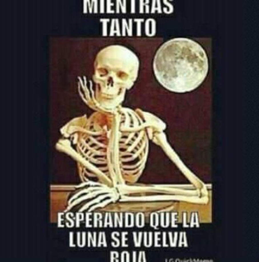 Los memes han hecho de las suyas a raíz del eclipse lunar.
