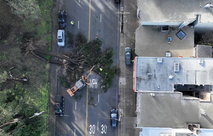 Dos automovilistas murieron en un accidente al norte de Bakersfield después de que un árbol cayera en una carretera.