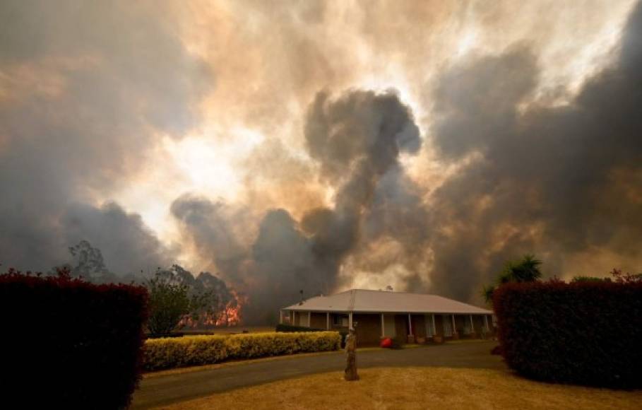 Más de 460,000 hectáreas fueron arrasadas por las llamas al norte de Sídney.