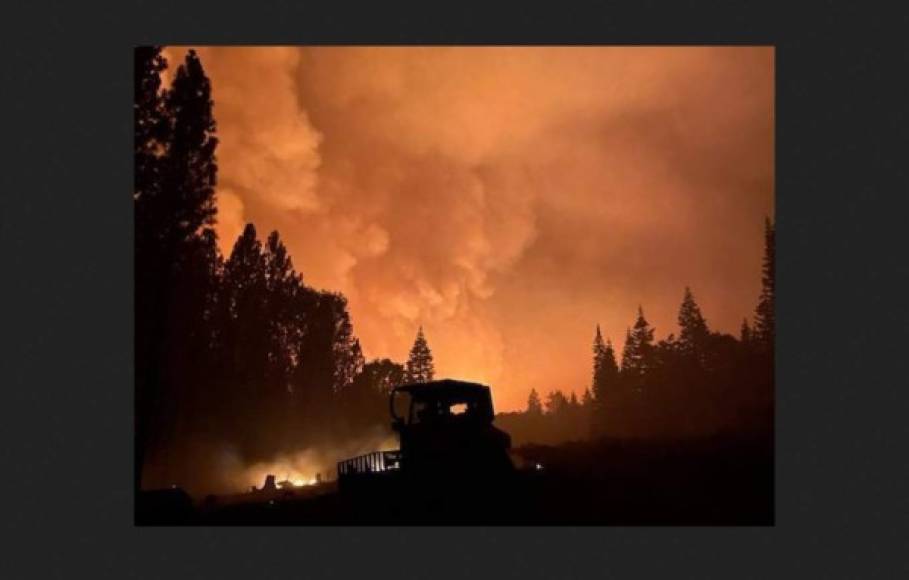 Fuera de California, en el vecino estado de Oregón, sigue activo el que actualmente es el mayor de todos los incendios de EE.UU., el conocido como 'Bootleg', que fue declarado tras la caída de un rayo el pasado 6 de julio en la zona boscosa de Winema-Fremont.