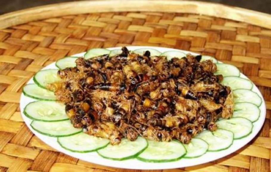 1.- Abejas chinas.<br/><br/>Estos insectos se sirven fritos en aceite acompañado de algunos vegetales. Sirven como tentempié para dar paso al plato principal. <br/>