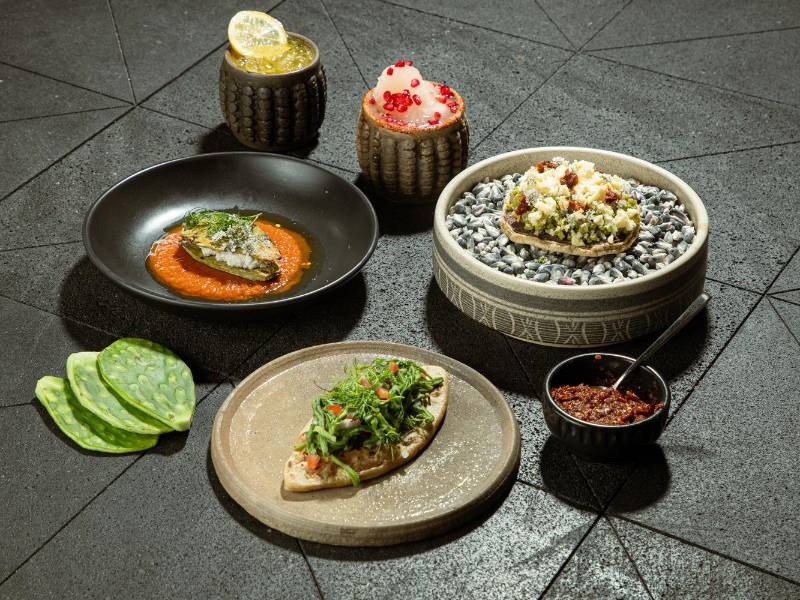 Nopales y tunas engalanan el compendio biodiverso de nuestro país. Aprovecha sus propiedades en tu menú cotidiano