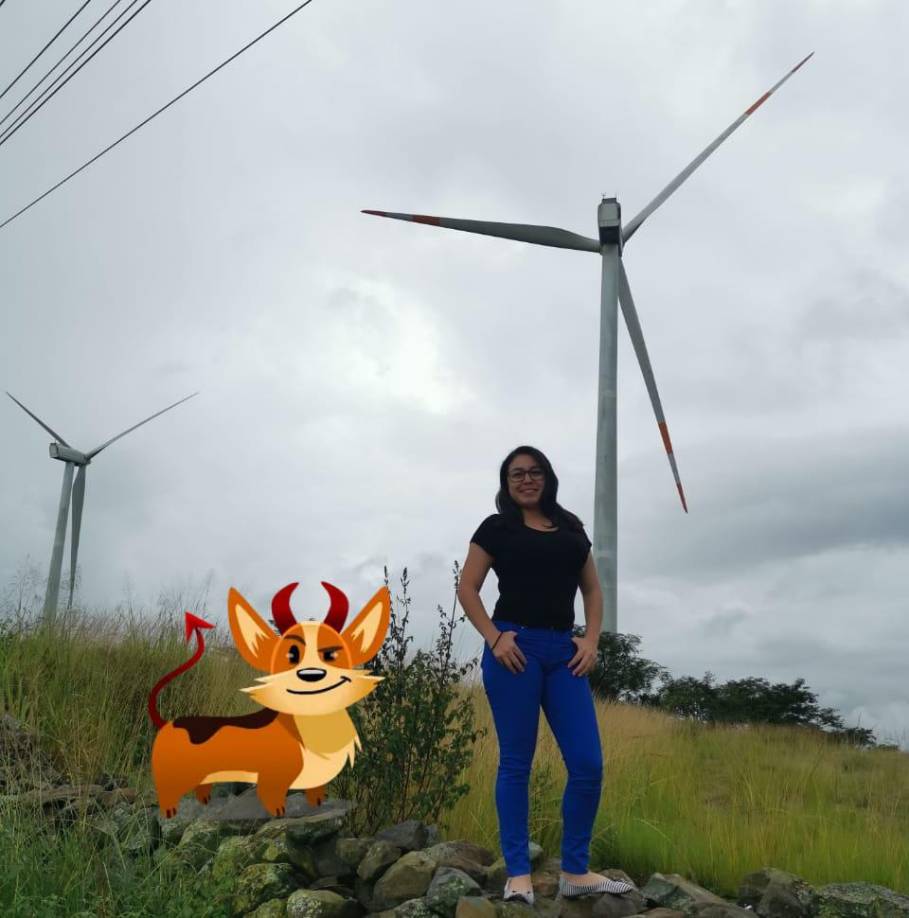 En la parte trasera del carro venían tres mujeres jóvenes, Gabriela Huete Castro, Fabiani Madrid y Lizzi María Rosales.