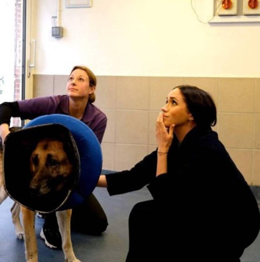 Por su puesto a que a nadie le pareció coincidencia que la duquesa de Sussex decidiera dar de qué hablar el mismo día que su concuñada promoviera si nueva iniciativa para ayudar a los padres británicos.