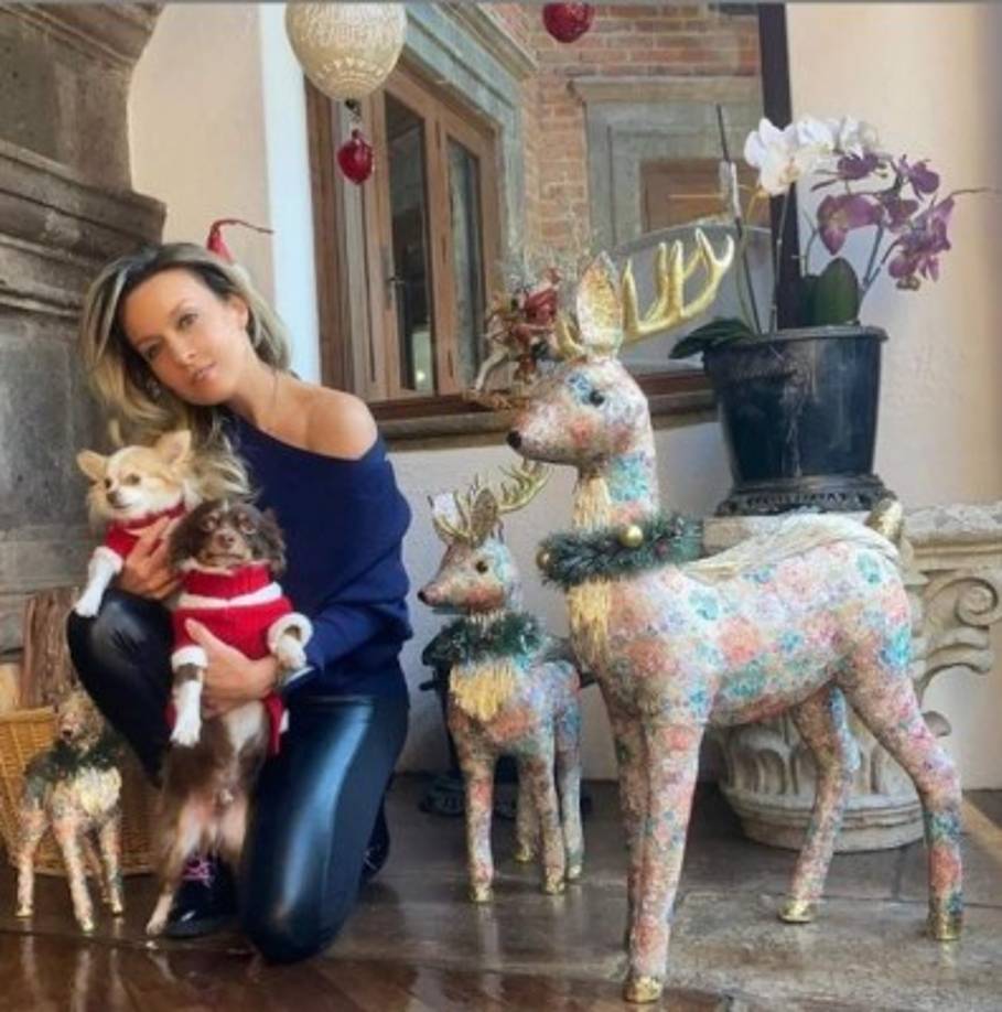 'Hoy más que nunca vibremos alto en amor', escribió la guapa Fey.