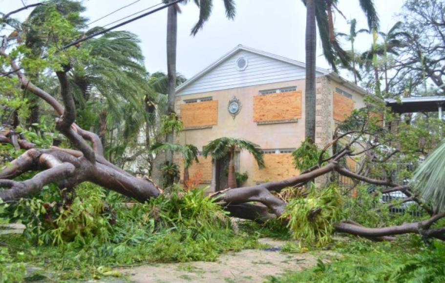 Lluvias, vientos, inundaciones, tornados y marejadas ciclónicas son algunos de los efectos de Irma en Florida.