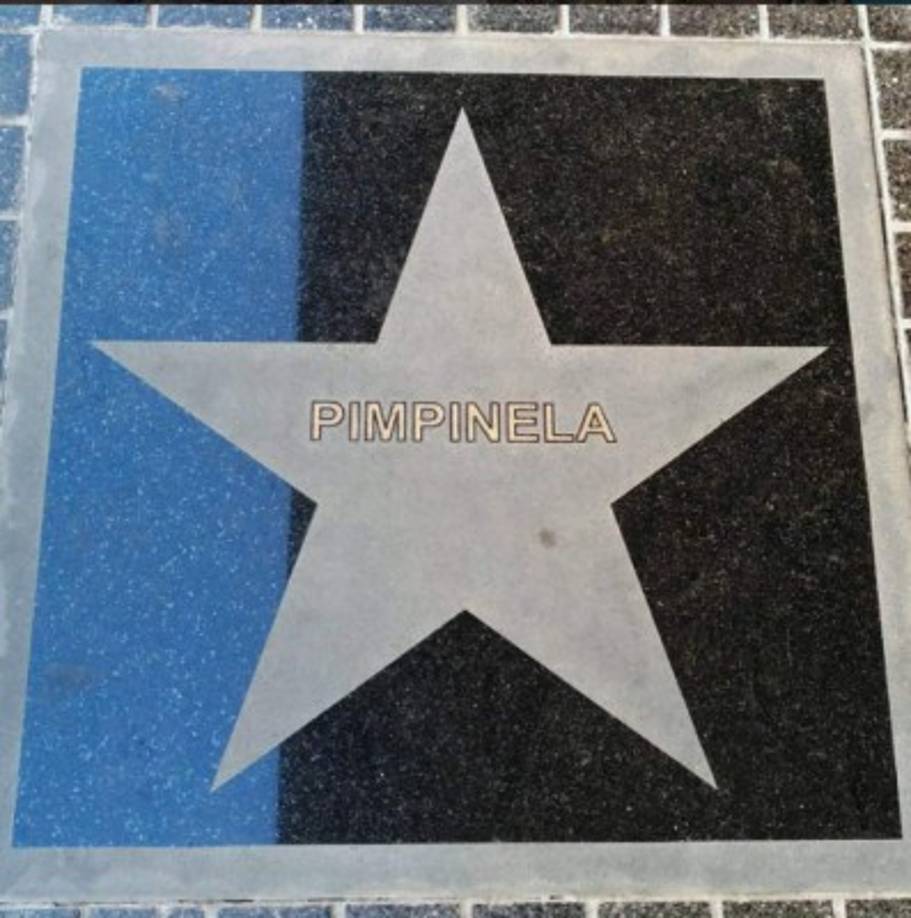 El gobierno de la ciudad de Buenos Aires, los honró colocando su estrella en la tradicional 'Av Corrientes' de su país.