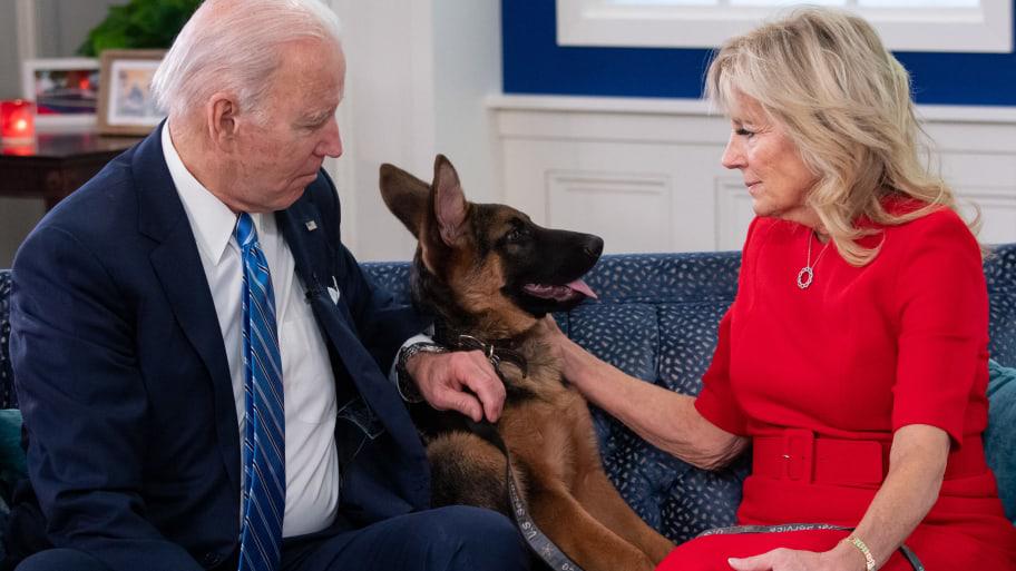 Uno de los perros de Biden, implicado en varios incidentes en la Casa Blanca