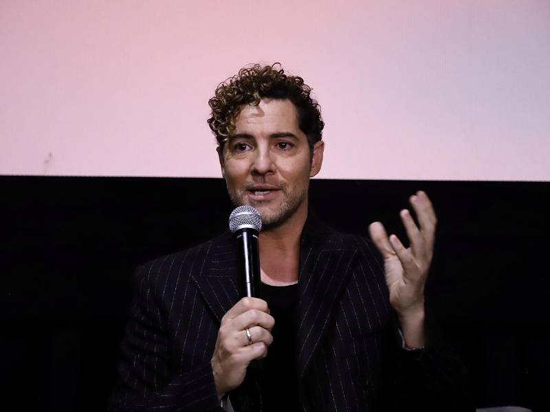 El cantante David Bisbal.