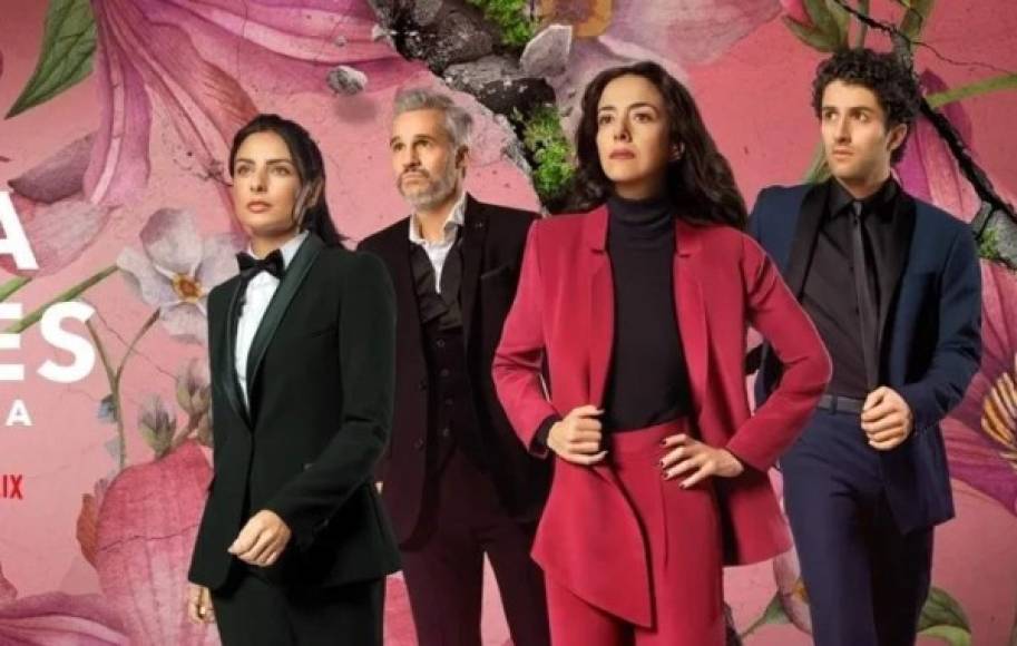 6. LA CASA DE LAS FLORES (2018)<br/>La Casa de las Flores es una serie web de comedia dramática mexicana, creada por Manolo Caro para Netflix. La historia se estrenó mundialmente el 10 de agosto de 2018, y hasta ahora acumula tres temporadas y una película. Su personaje es Diego Olvera, el asesor financiero de la familia, y el amante secreto de Julián (Darío Yazbek).<br/>