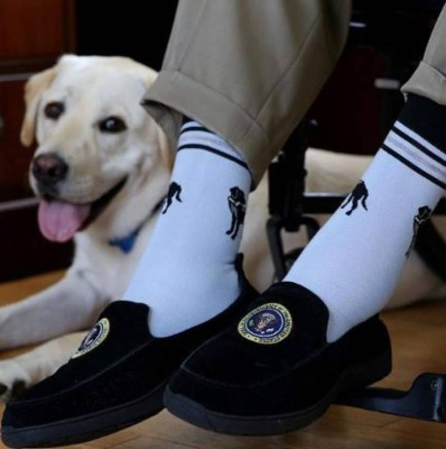 Sully lleva el nombre del expiloto de aviones comerciales Chesley B. 'Sully' Sullenberger III, quien se hizo famoso por el aterrizaje de un avión de pasajeros dañado en el río Hudson en Nueva York y así salvar a 155 personas en 2009.<br/>