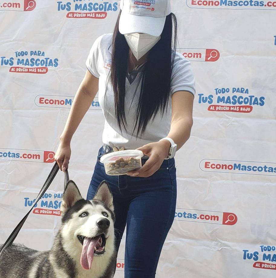 3. Categoría Mascotas: EconoMascota.Son la solución para tener siempre al alcance todo lo que necesitan los consentidos de la casa. <br />Ofrecen alimentos, juguetes, accesorios, ropa, productos de higiene y hasta medicamentos para perros, gatos, aves, peces, conejos y reptiles, para que tus mascotas siempre sean la sensación adonde quiera que las lleves de paseo.