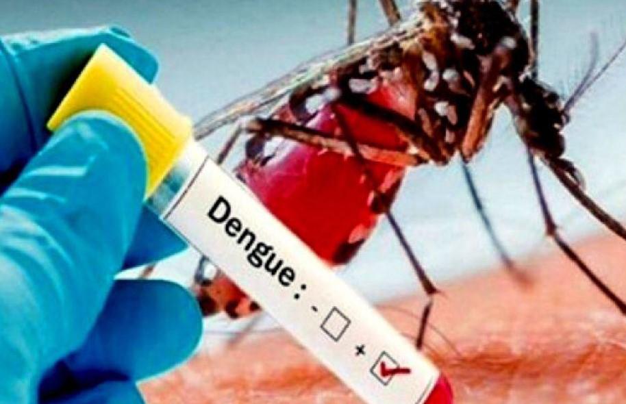 El dengue ya arrebató ocho vidas en tan solo cuatro días