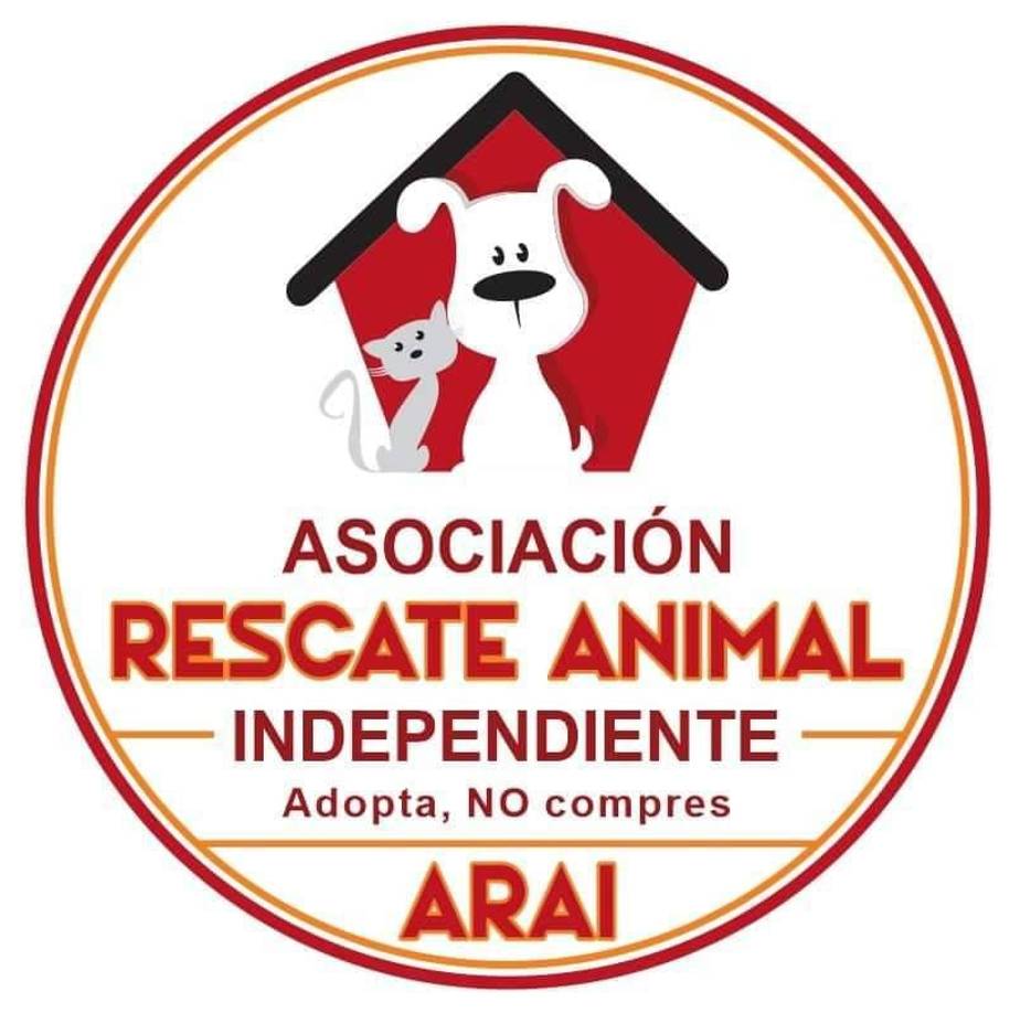 ARAI: (Tegucigalpa) Es un grupo de tres personas voluntarias sin fines de lucro con un objetivo social basado en la protección y rehabilitación de animales abandonados, maltratados en situación de calle. 