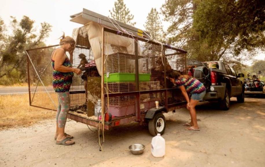 Annette Smart y su nieta Malina Sandoval, 10, huyeron junto a sus animales del Creek Fire.