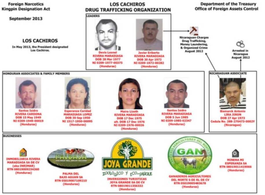 Los líderes del cartel de Los Cachiros eran los hermanos Javier Eriberto Rivera Maradiaga y Devis Leonel Rivera Maradiaga, mientras que sus socios fueron identificados por Estados Unidos Santos Isidro Rivera Cardona (padre), Esperanza CAridad Maradiaga López (madre), Maira Lizeth Rivera Maradiaga (hermana), Santos Isidro Rivera Maradiaga (hermano),y Bismarck Antonio Lira Jiron (líder de una célula nicaragüense para Los Cachiros).