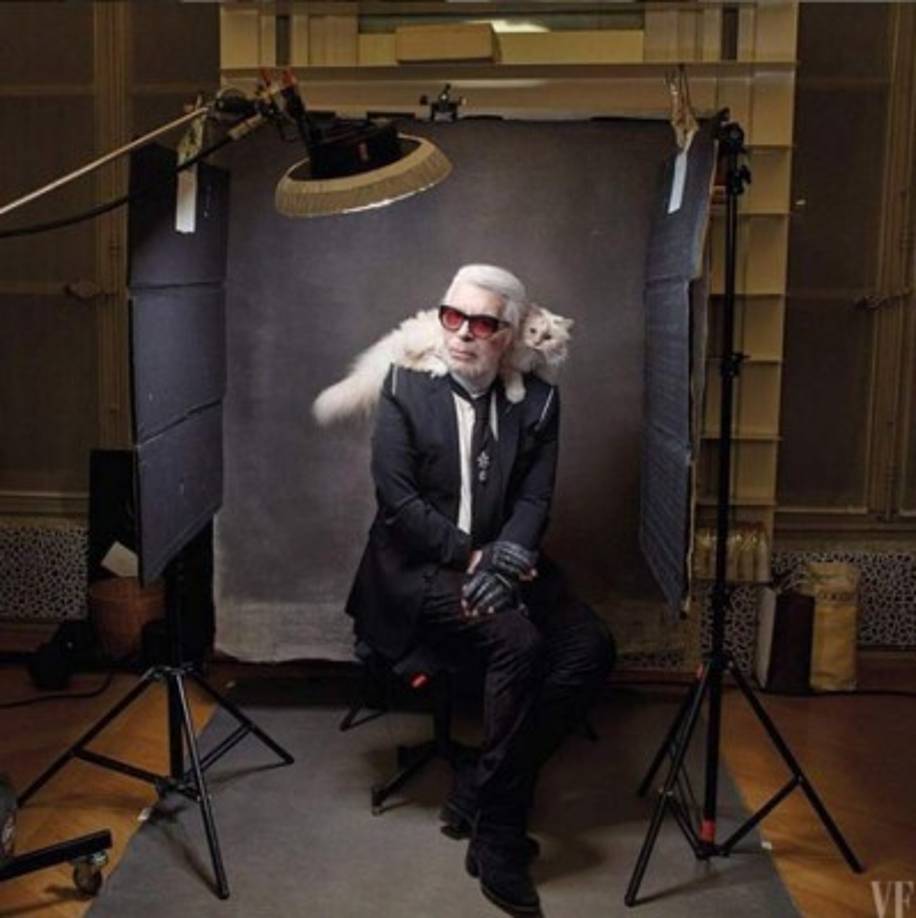 El animal comía en la mesa junto a su amo, en vajilla de plata y era tratada como una reina.