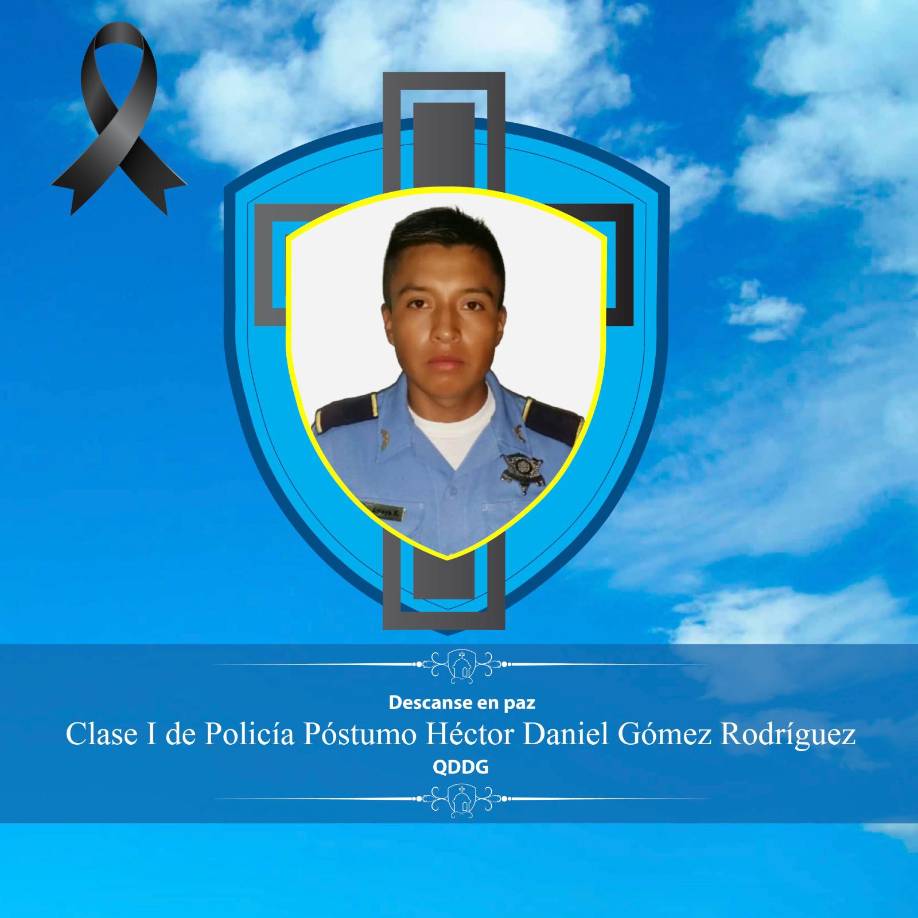 Testigos dijeron que el hombre creía que en el estacionamiento habían dos personas que querían matarlo. Se sospecha que estaba sufriendo alucinaciones por un posible estado de ebriedad. 